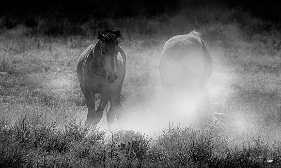 UtahPhotography-126