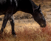 UtahPhotography-127