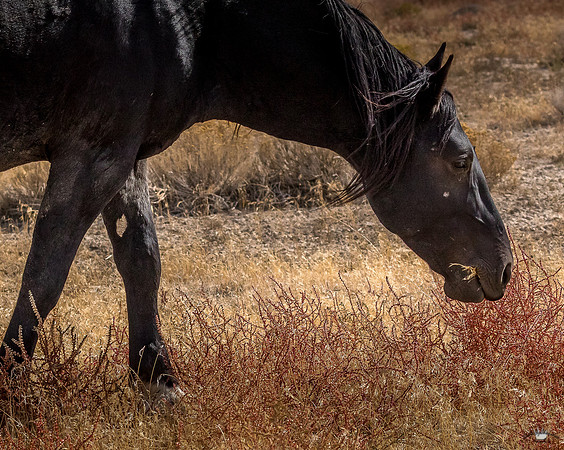 UtahPhotography-127
