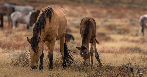 UtahPhotography-13