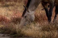 UtahPhotography-129
