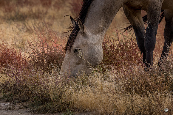 UtahPhotography-129