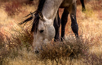 UtahPhotography-128