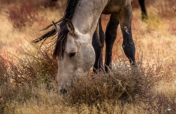 UtahPhotography-128