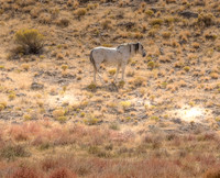 UtahPhotography-134