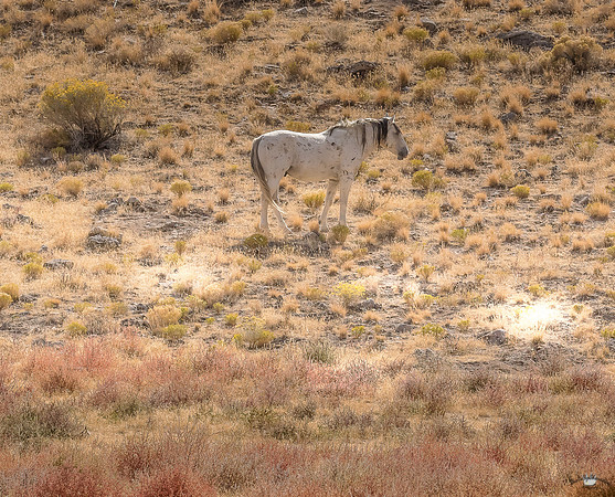 UtahPhotography-134