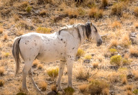 UtahPhotography-135