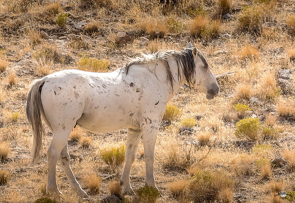 UtahPhotography-135
