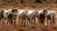 UtahPhotography-136