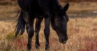 UtahPhotography-137