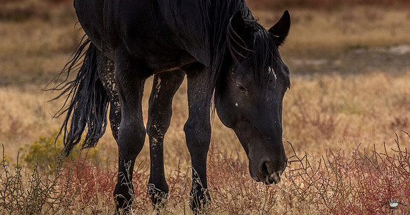 UtahPhotography-137