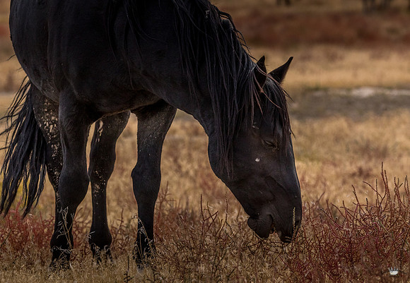 UtahPhotography-139