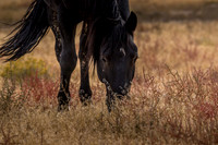 UtahPhotography-138
