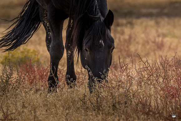 UtahPhotography-138