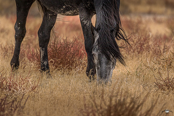 UtahPhotography-14