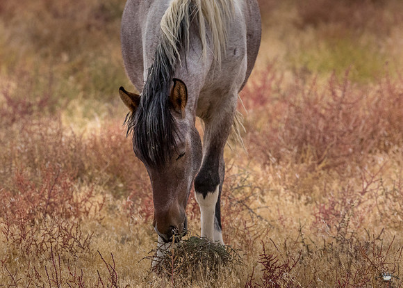 UtahPhotography-145