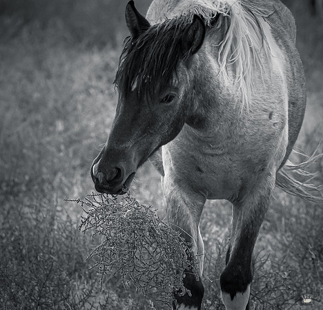 UtahPhotography-148