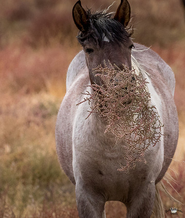 UtahPhotography-149