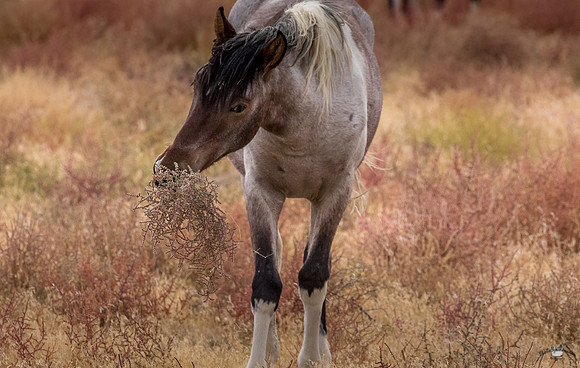 UtahPhotography-146