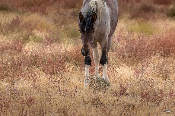 UtahPhotography-144