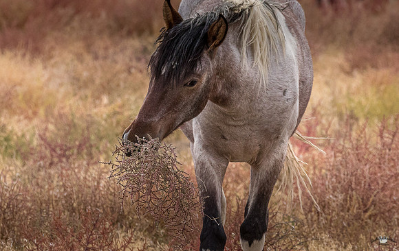 UtahPhotography-147