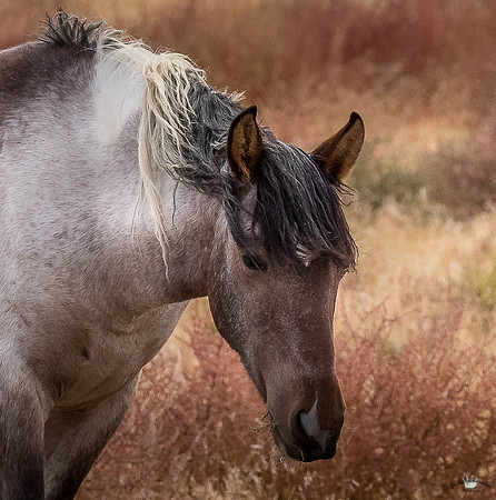 UtahPhotography-152