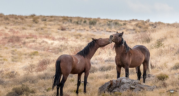UtahPhotography-155