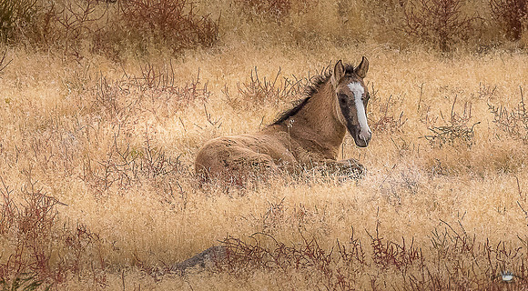 UtahPhotography-157