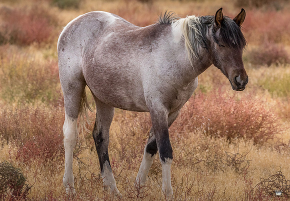UtahPhotography-151