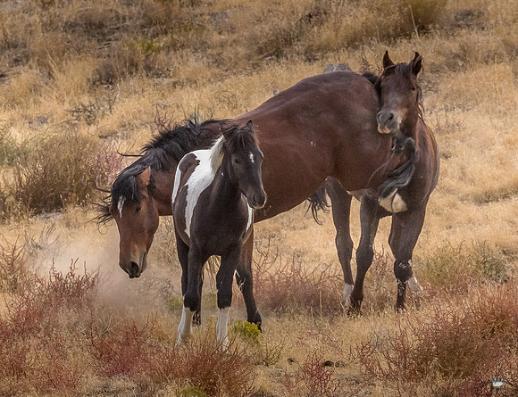 UtahPhotography-158