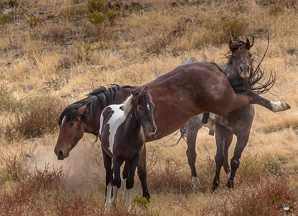 UtahPhotography-159