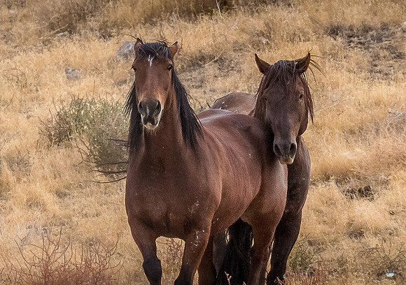 UtahPhotography-163