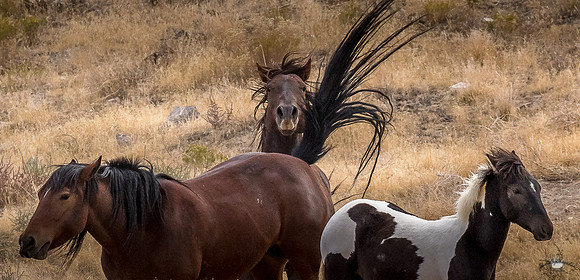 UtahPhotography-162