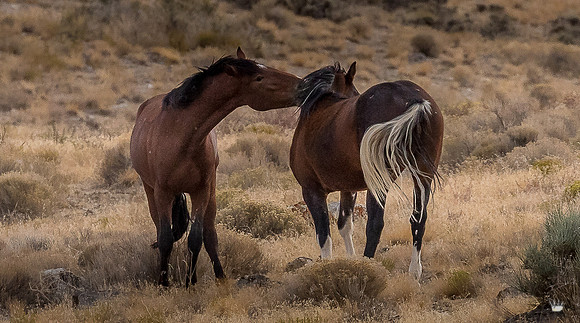 UtahPhotography-166