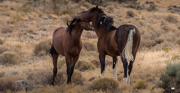 UtahPhotography-165