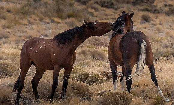 UtahPhotography-169