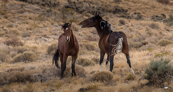 UtahPhotography-167