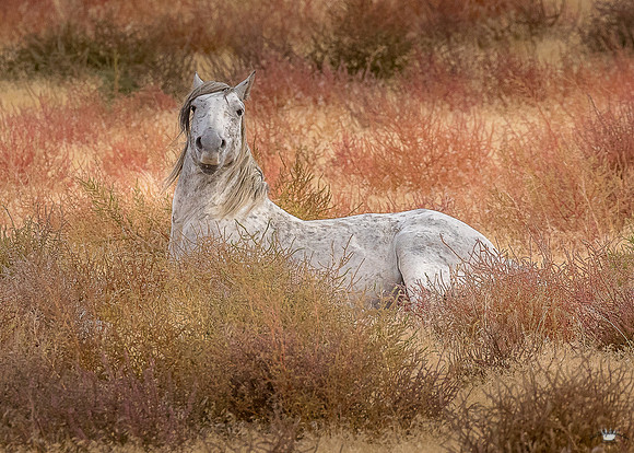 UtahPhotography-170