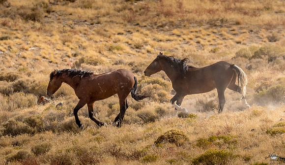 UtahPhotography-173