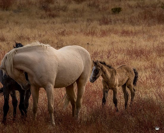 UtahPhotography-172
