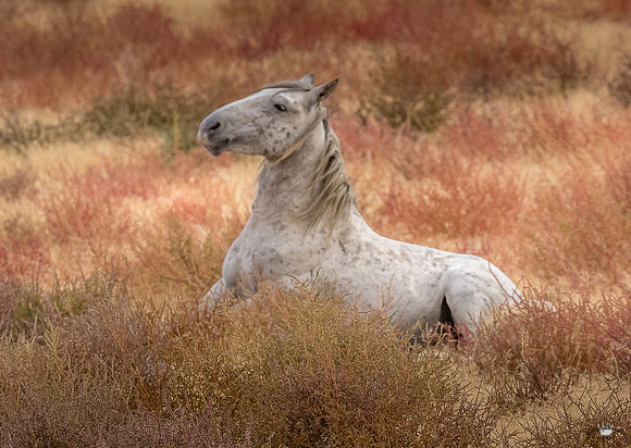 UtahPhotography-171