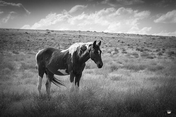 UtahPhotography-176
