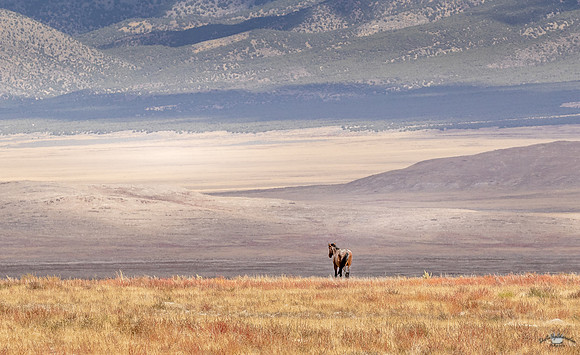 UtahPhotography-179