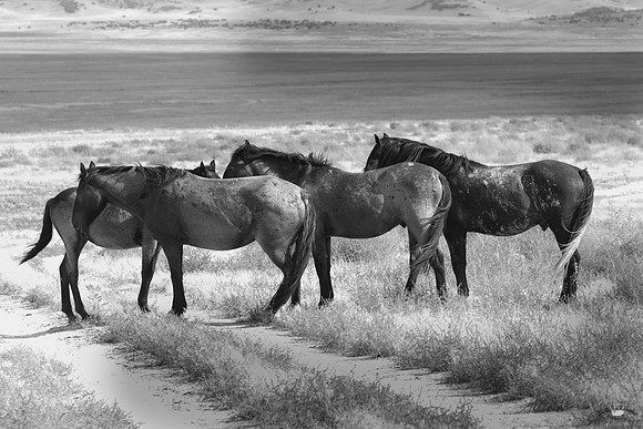 UtahPhotography-180