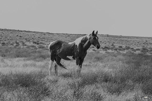 UtahPhotography-181