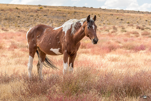 UtahPhotography-175