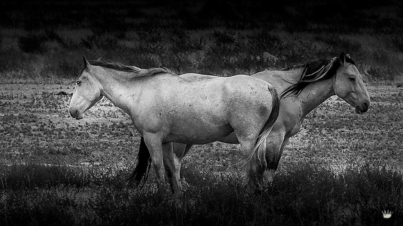 UtahPhotography-186