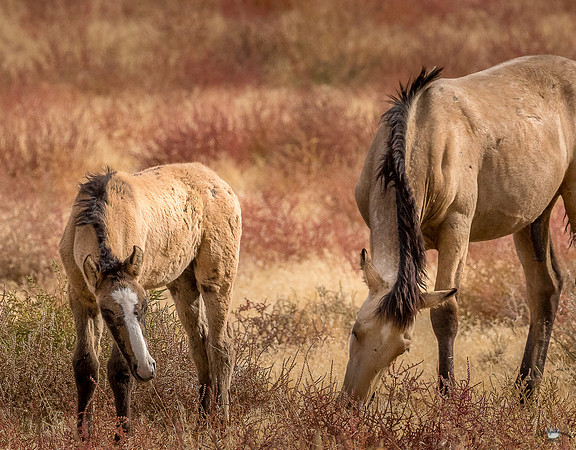 UtahPhotography-184