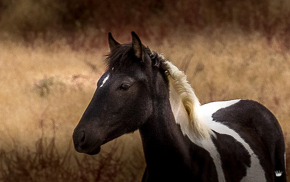 UtahPhotography-189