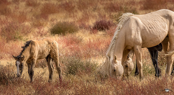 UtahPhotography-182
